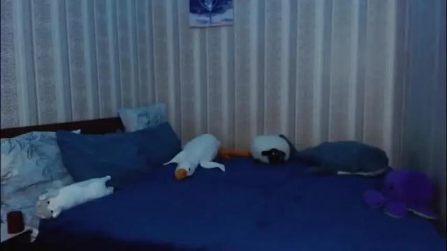 Image 8 of julithlally Stream on Chaturbate on 3 months ago