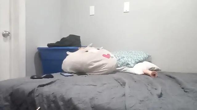 Image 8 of just_e23 Stream on Chaturbate on 18 months ago