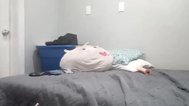 Thumbnail 3, just_e23's Stream at Chaturbate, 17 months ago
