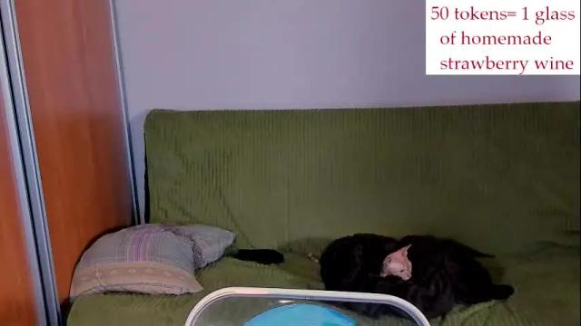 Image 12 of just_fucked Stream on Chaturbate on 1 month ago
