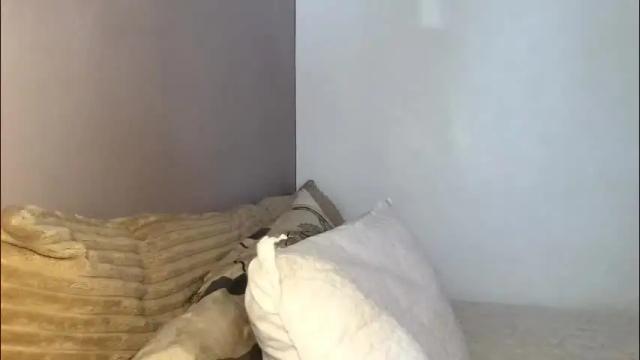 Image 4 of just_marjorie69 Stream on Chaturbate on 2 months ago