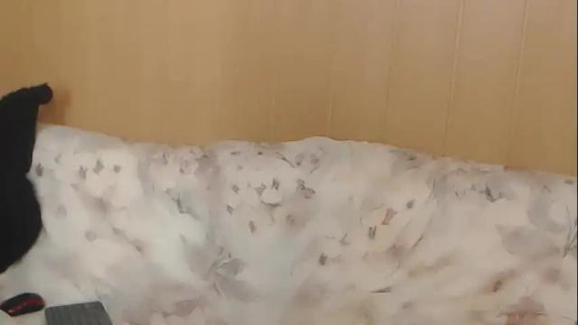 Image 10 of just_queen Stream on Chaturbate on 3 months ago