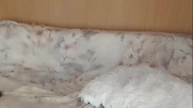 Image 4 of just_queen Stream on Chaturbate on 2 months ago