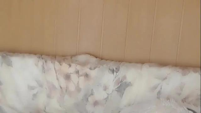 Thumbnail 3, just_queen's Stream at Chaturbate, 2 months ago