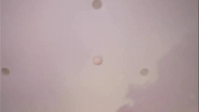 Image 11 of justmarie Stream on Chaturbate on 1 month ago