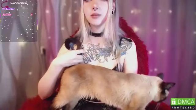 Image 8 of justmeowgirl Stream on Chaturbate on 29 days ago