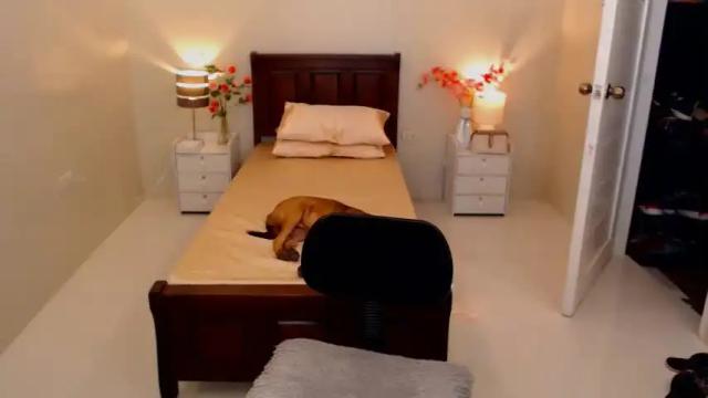 Image 2 of jynxocean Stream on Chaturbate on 15 months ago