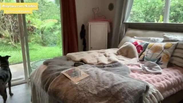 Image 2 of kaileeshy Stream on Chaturbate on 13 months ago