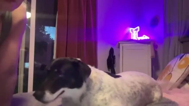 Thumbnail 1, kaileeshy's Stream at Chaturbate, 13 months ago