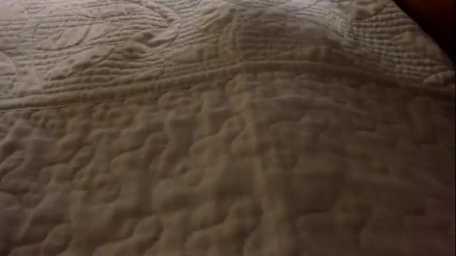 Image 11 of kamell_x26 Stream on Chaturbate on 9 days ago