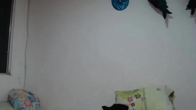 Image 6 of kammy_cami Stream on Chaturbate on 16 months ago