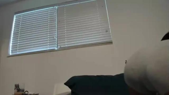 Image 3 of karebearxx Stream on Chaturbate on 28 months ago