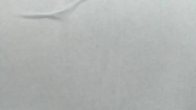 Image 7 of kasymari Stream on Chaturbate on 14 months ago