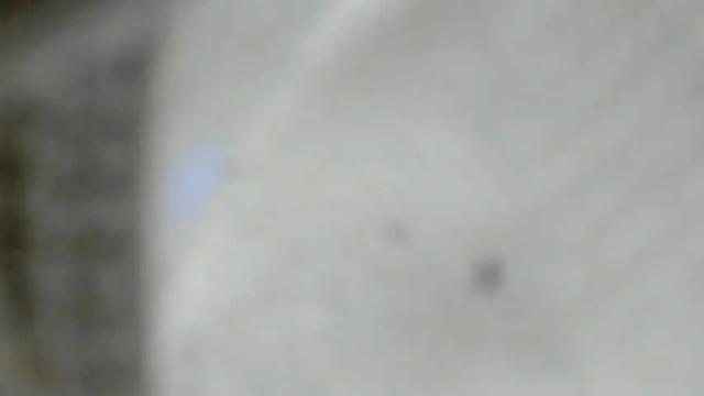 Image 10 of kasymari Stream on Chaturbate on 14 months ago