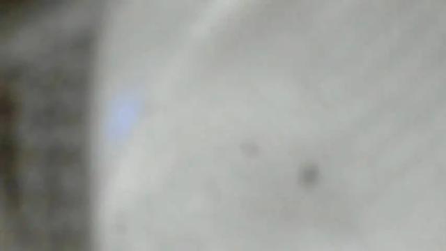 Image 11 of kasymari Stream on Chaturbate on 14 months ago