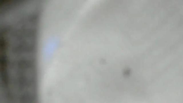Image 12 of kasymari Stream on Chaturbate on 14 months ago