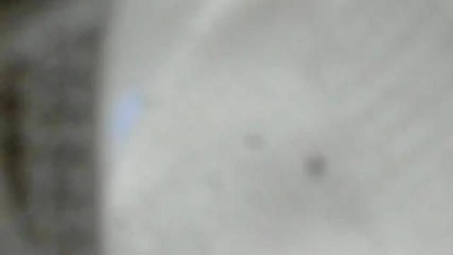 Image 6 of kasymari Stream on Chaturbate on 14 months ago