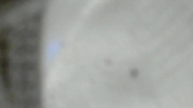 Image 7 of kasymari Stream on Chaturbate on 14 months ago