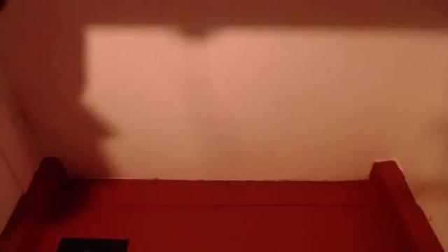 Image 3 of katalina_dm Stream on Chaturbate on 14 months ago