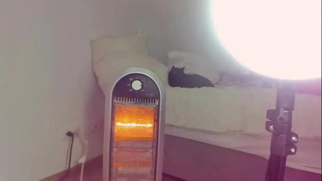 Image 2 of katalinaferreirax Stream on Chaturbate on 3 months ago