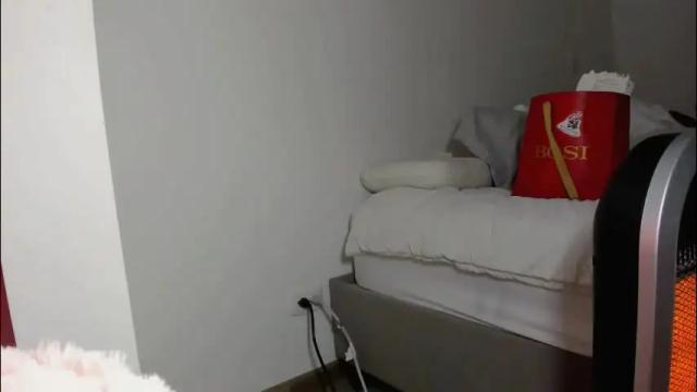 Image 3 of katalinaferreirax Stream on Chaturbate on 2 months ago
