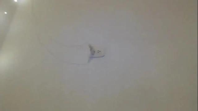 Image 3 of kate_big_tits Stream on Chaturbate on 4 months ago