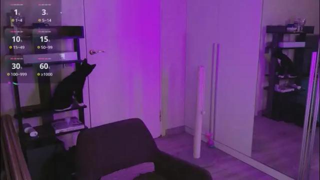 Image 8 of katebloom Stream on Chaturbate on 2 months ago