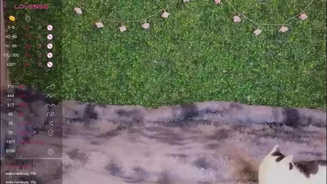 Image 2 of katerinnna Stream on Chaturbate on 25 days ago