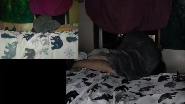 Thumbnail 2, katgall327's Stream at Chaturbate, 1 month ago