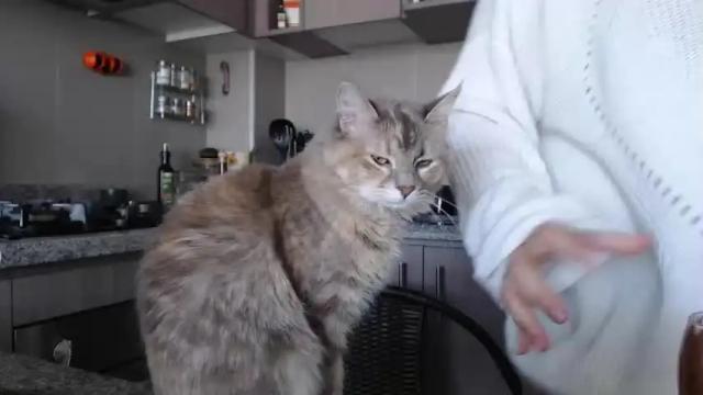 Image 11 of kathecurvy Stream on Chaturbate on 21 months ago