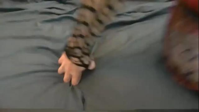 Image 2 of katie150686 Stream on Chaturbate on 5 months ago