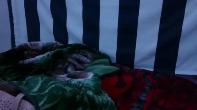 Image 6 of katsmeow710 Stream on Chaturbate on 22 months ago