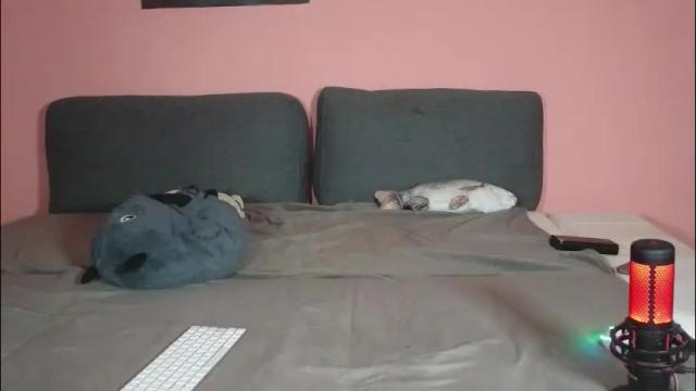 Image 3 of katusha008 Stream on Chaturbate on 1 month ago