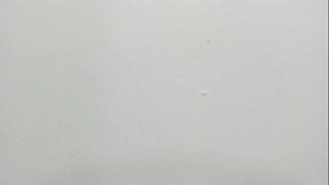 Image 2 of katy_and_paola Stream on Chaturbate on 1 month ago