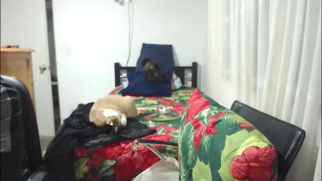 Thumbnail 3, kawit1's Stream at Chaturbate, 6 days ago