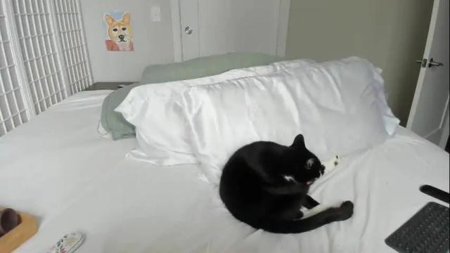 Thumbnail 1, kaylacruise's Stream at Chaturbate, 1 month ago