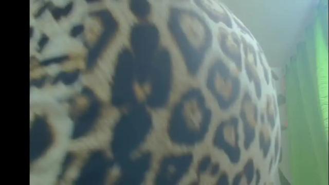 Image 7 of kazsandrah Stream on Chaturbate on 1 month ago