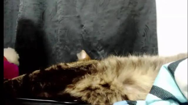 Thumbnail 1, kellyandkataleya's Stream at Chaturbate, 1 month ago