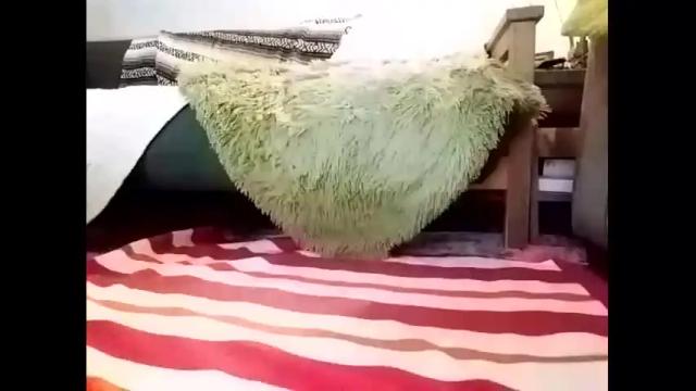 Image 6 of kellykum Stream on Chaturbate on 13 months ago