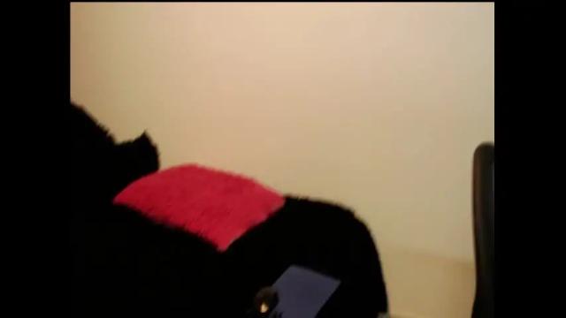 Image 6 of kiara_bracovich Stream on Chaturbate on 13 months ago