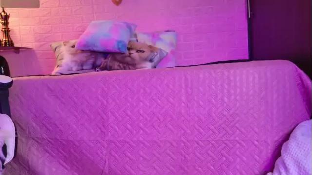 Image 8 of kimmy__99 Stream on Chaturbate on 6 months ago