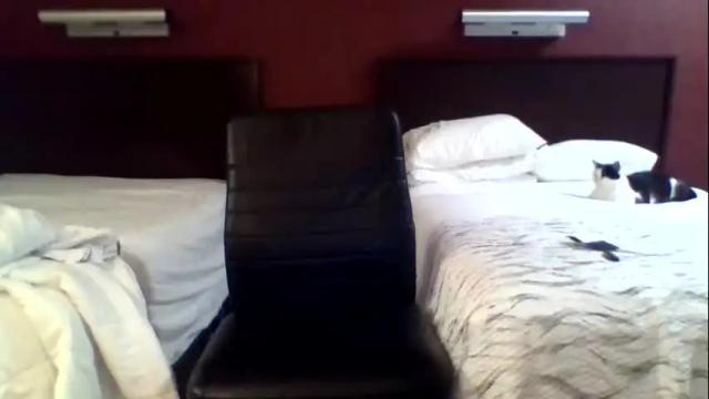 Image 12 of kinky_karamel99 Stream on Chaturbate on 2 months ago