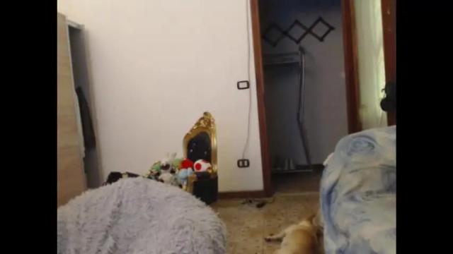 Image 11 of kinkyerikat Stream on Chaturbate on 2 months ago