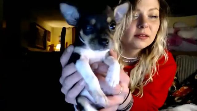 Image 8 of kipsy420 Stream on Chaturbate on 5 months ago