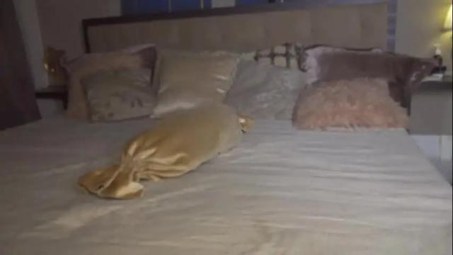 Thumbnail 2, kirasunny's Stream at Chaturbate, 24 days ago