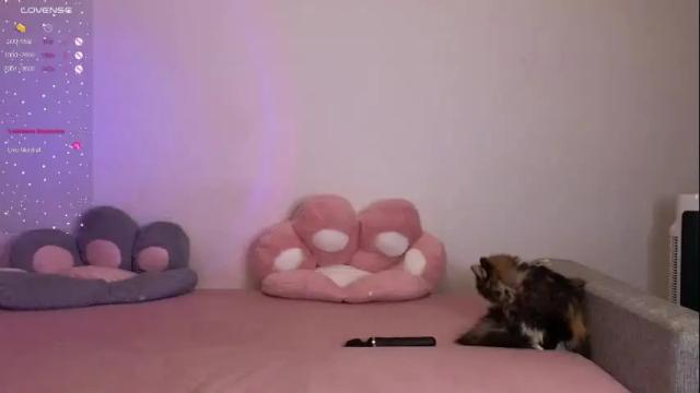 Image 7 of kiraturner Stream on Chaturbate on 11 days ago