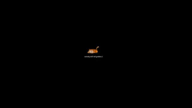 Image 10 of kitimeom Stream on Chaturbate on 21 months ago