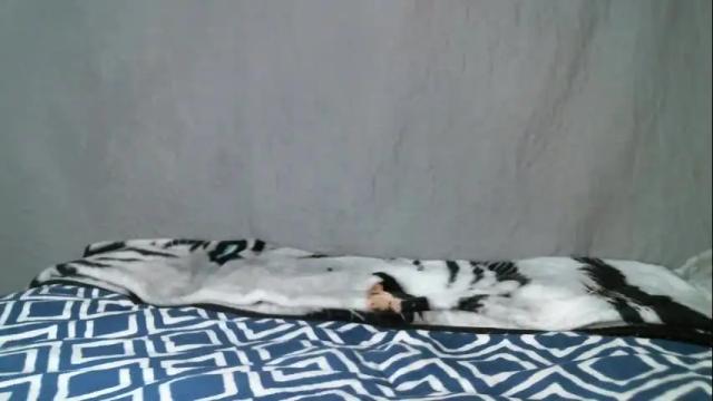 Image 4 of kitty2488 Stream on Chaturbate on 1 month ago