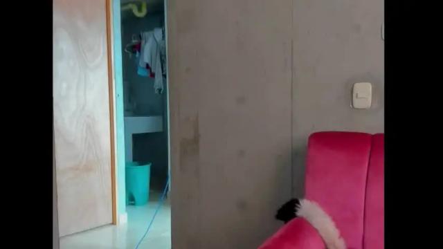 Image 7 of kitty_rose6147 Stream on Chaturbate on 2 months ago