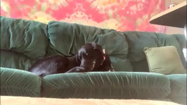 Thumbnail 2, kittygoddess420's Stream at Chaturbate, 2 months ago